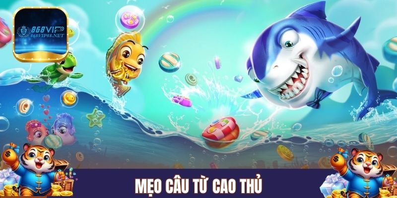Mẹo câu từ cao thủ