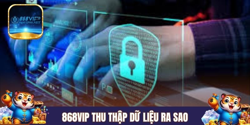 868Vip thu thập dữ liệu ra sao