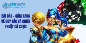 Bài Cào - Cẩm Nang Về Quy Tắc Và Chiến Thuật Cá Cược