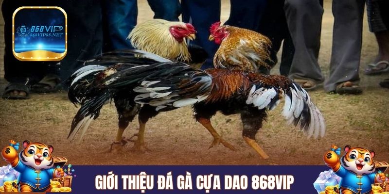 Giới thiệu đá gà cựa dao 868VIP