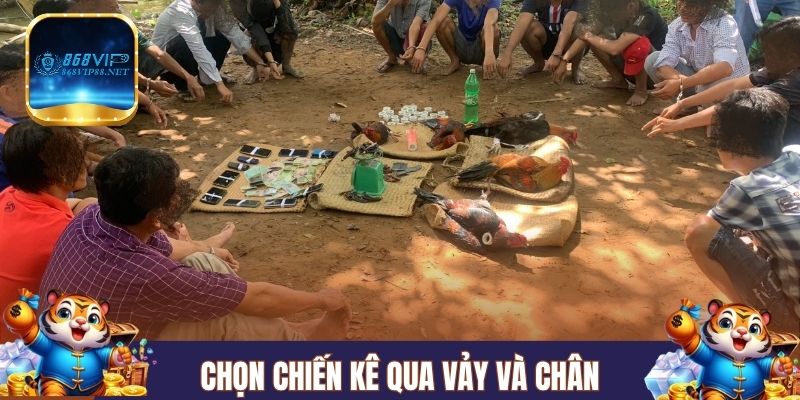 Kinh nghiệm chọn gà qua vảy và chân