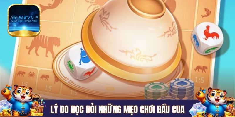 Lý do học hỏi những mẹo chơi Bầu Cua