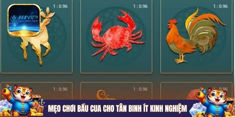 Mẹo chơi Bầu Cua cho tân binh ít kinh nghiệm