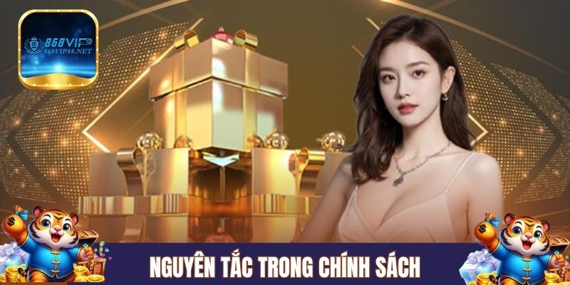 Nguyên tắc trong chính sách