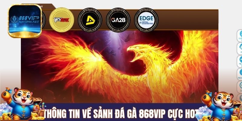 Thông tin về sảnh đá gà 868VIP cực hot 