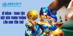 Xì Dách - Thao Tác Đặt Kèo Thơm Thắng Lớn Cho Tân Thủ